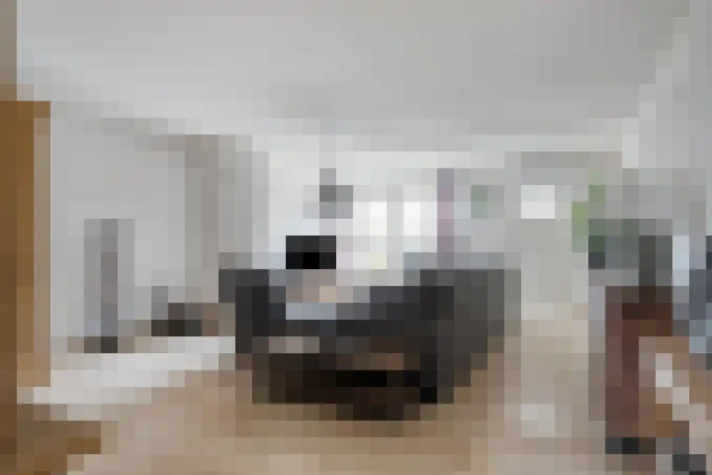 Plevier 18 Bunschoten-Spakenburg thumbnail 8