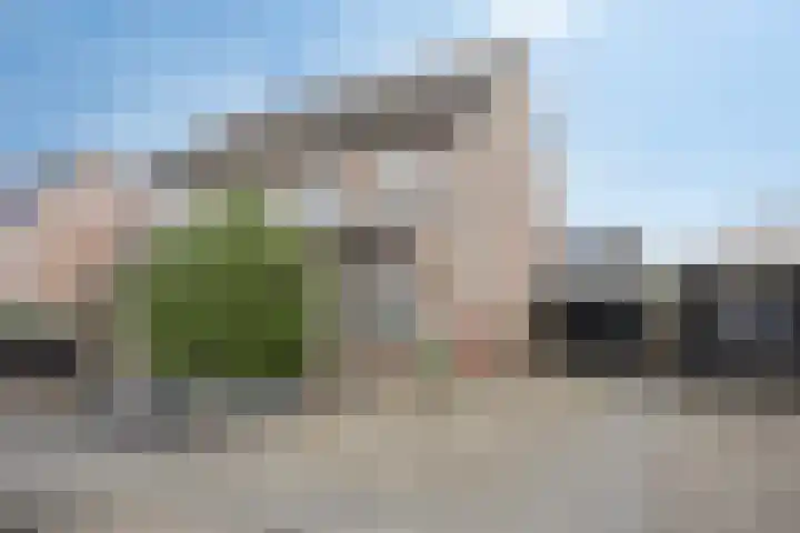 Plevier 25 Staphorst