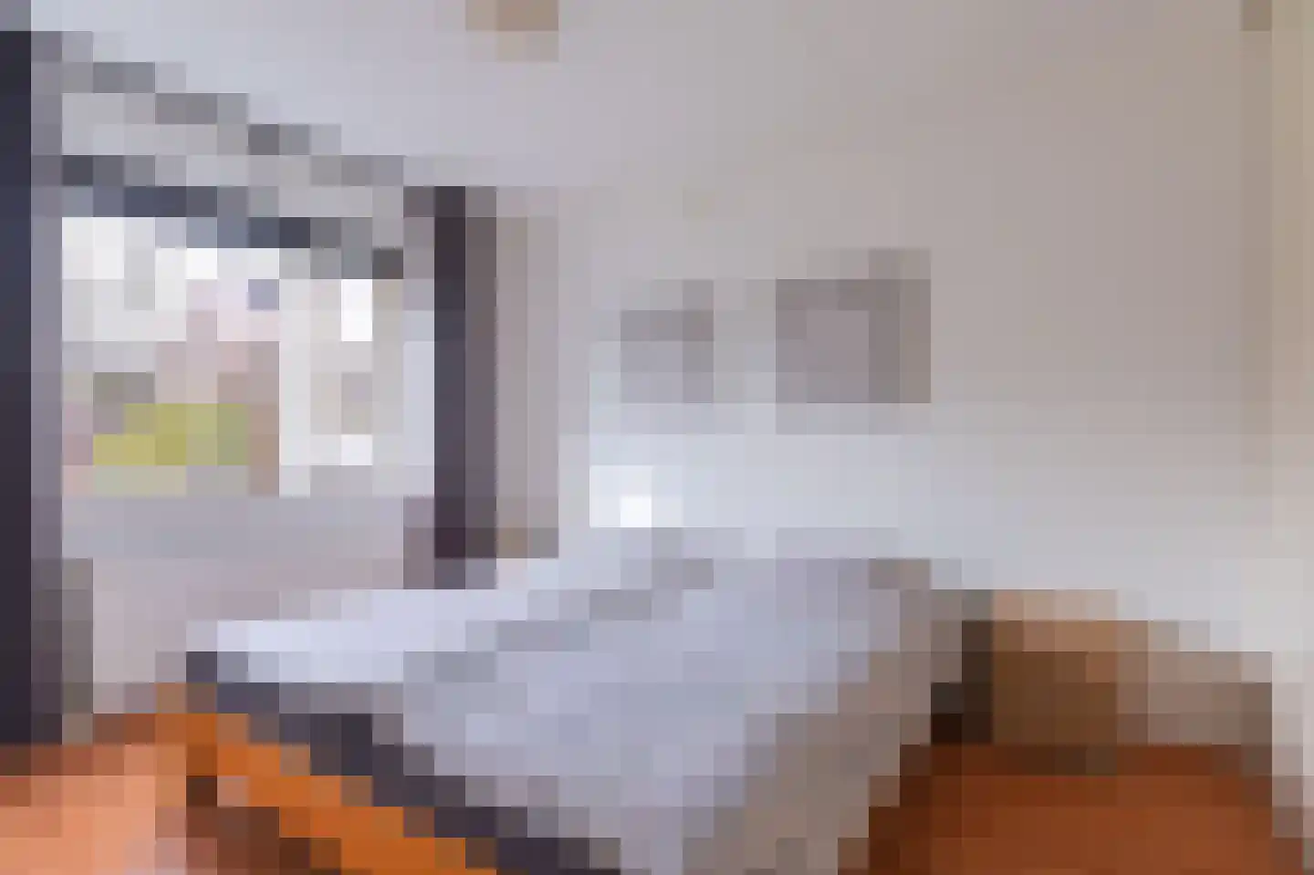 Plevier 27 Hoorn thumbnail 27