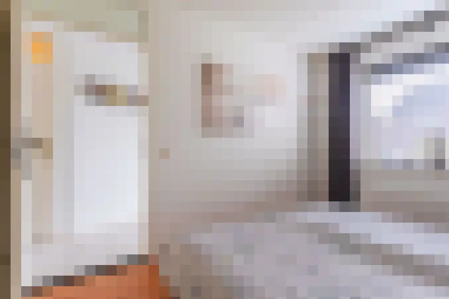 Plevier 27 Hoorn thumbnail 28