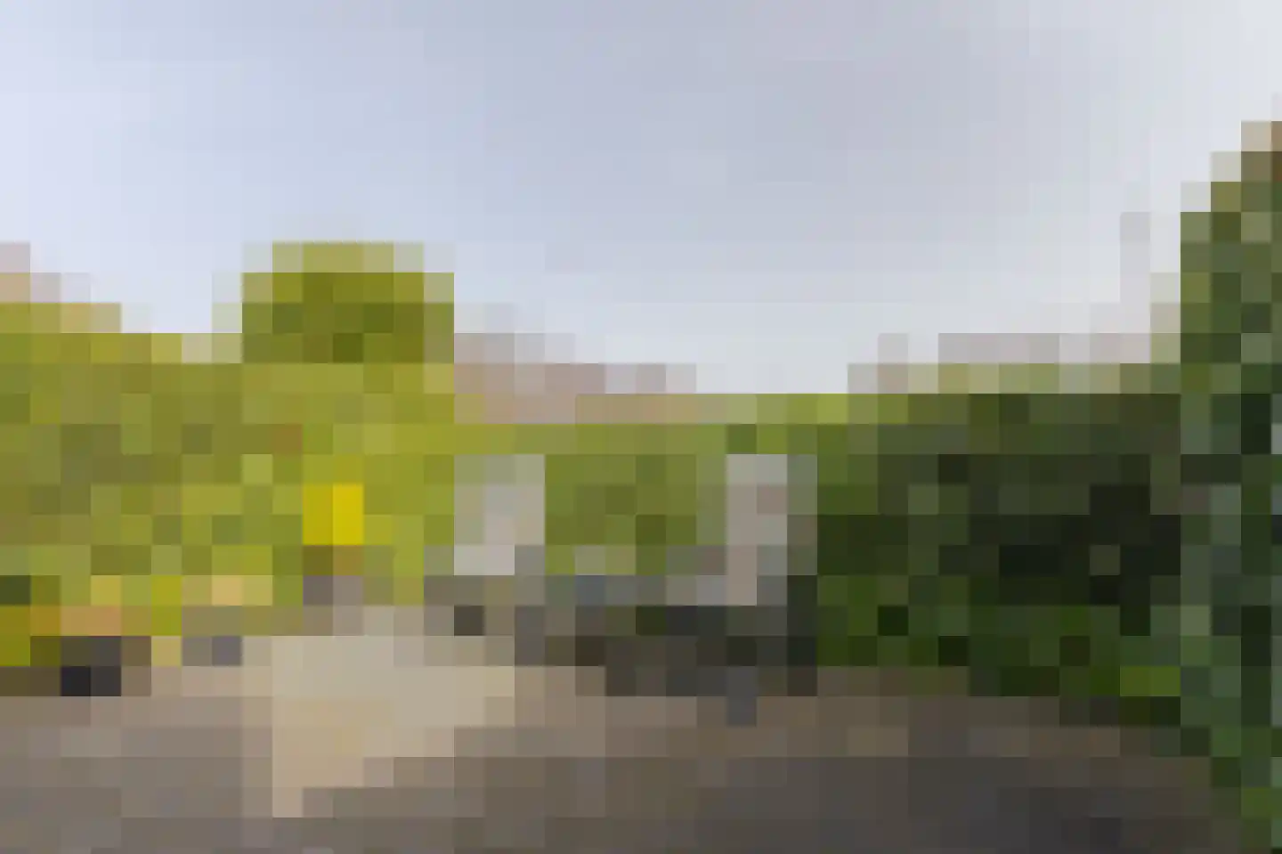 Plevier 27 Hoorn thumbnail 37
