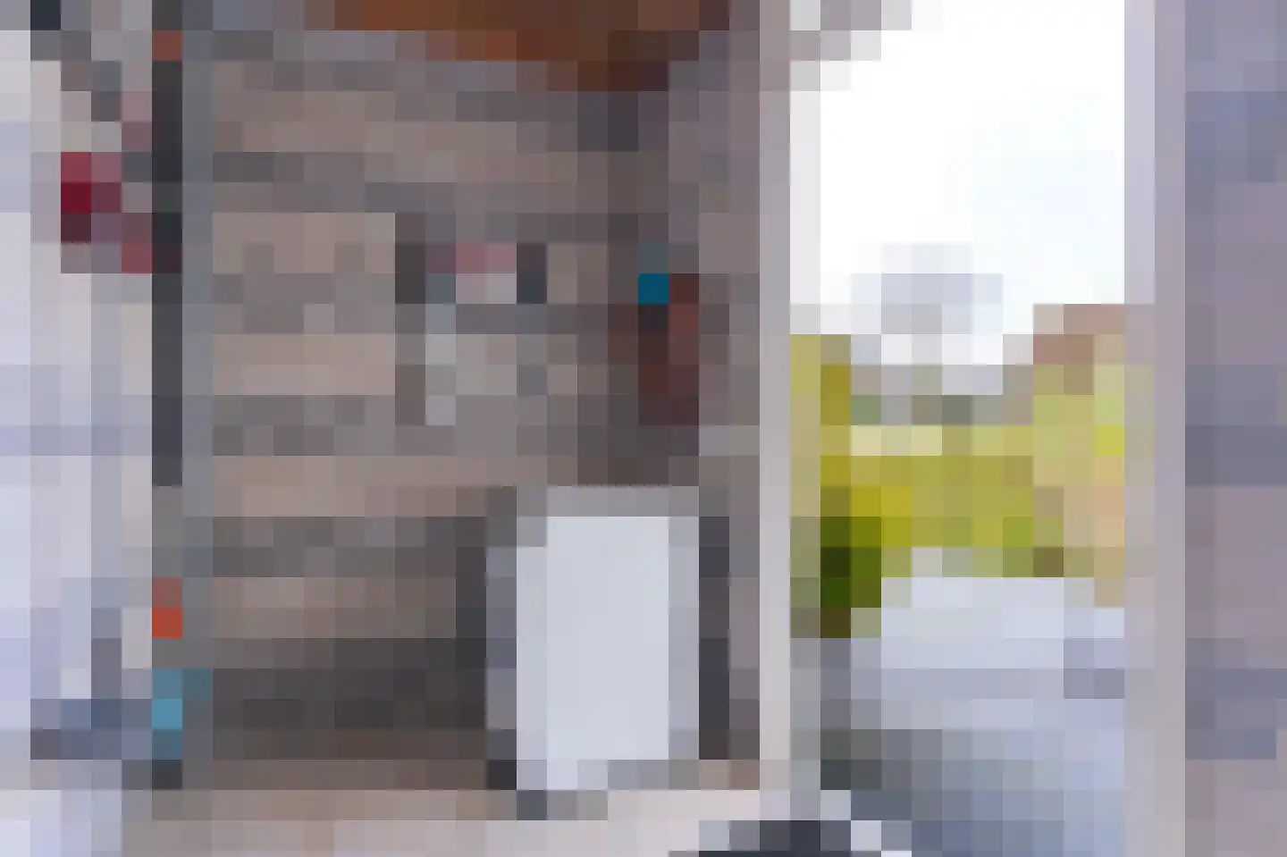 Plevier 27 Hoorn thumbnail 43