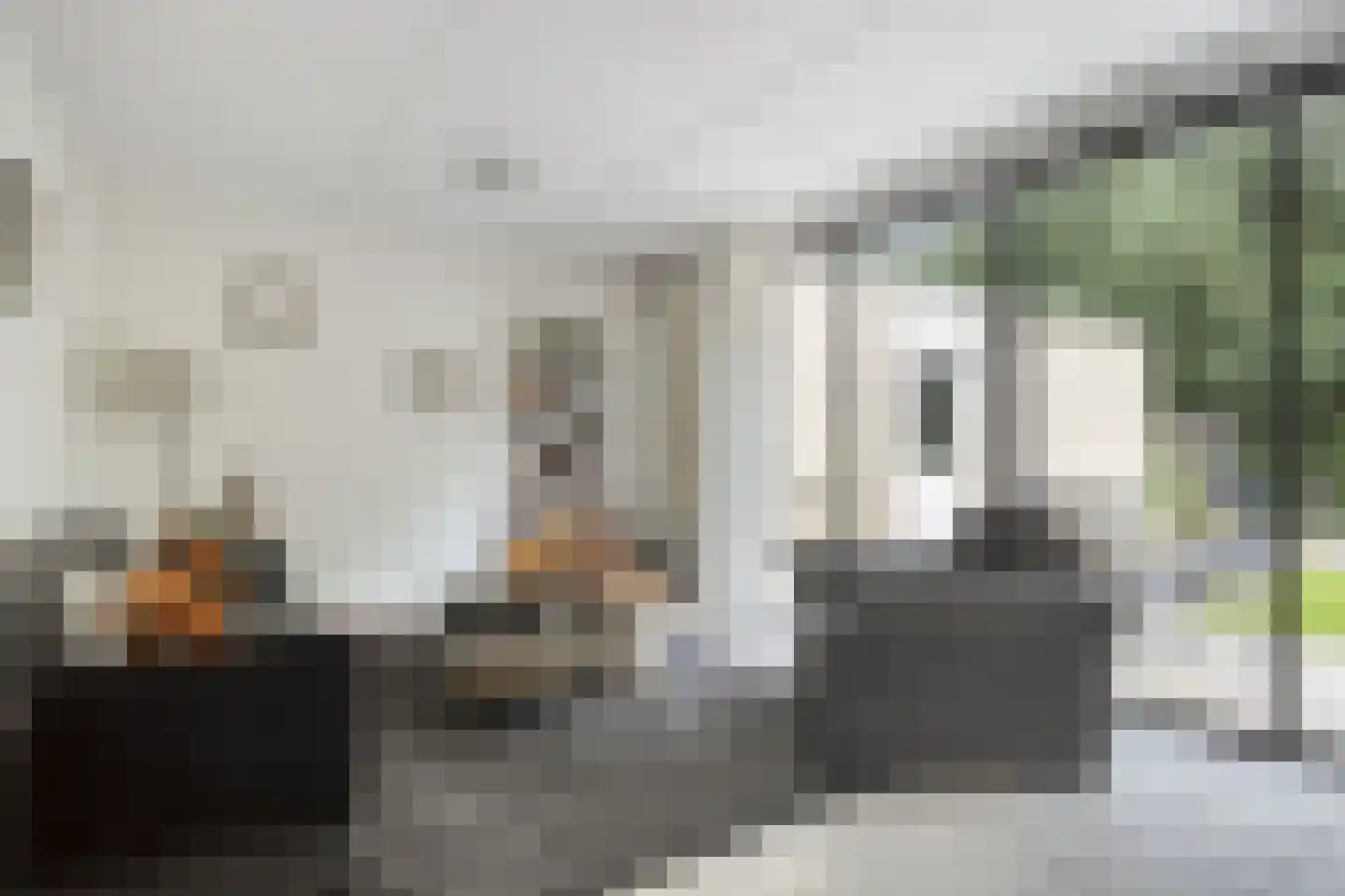 Plevier 37 Hoogvliet Rotterdam thumbnail 11