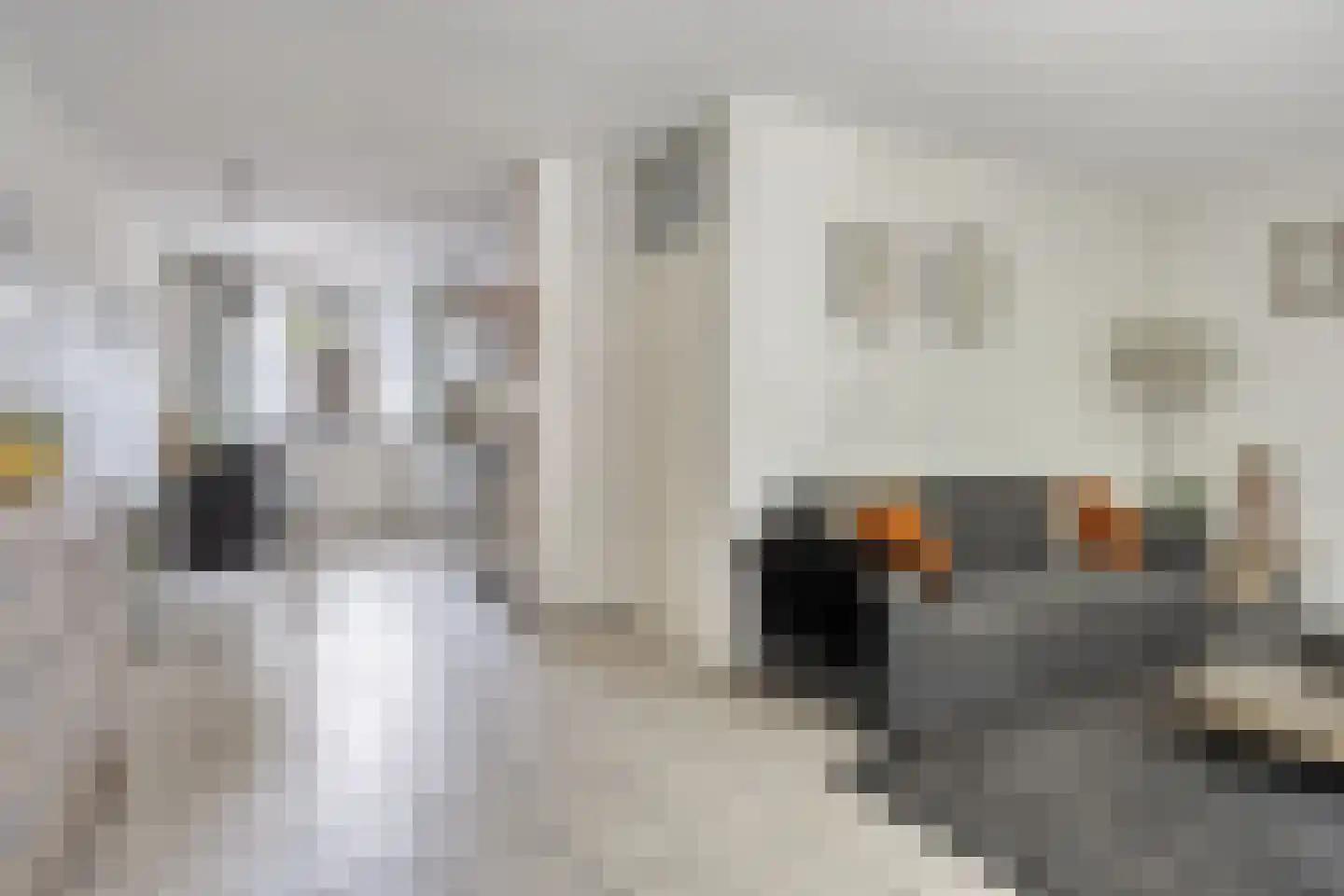 Plevier 37 Hoogvliet Rotterdam thumbnail 13