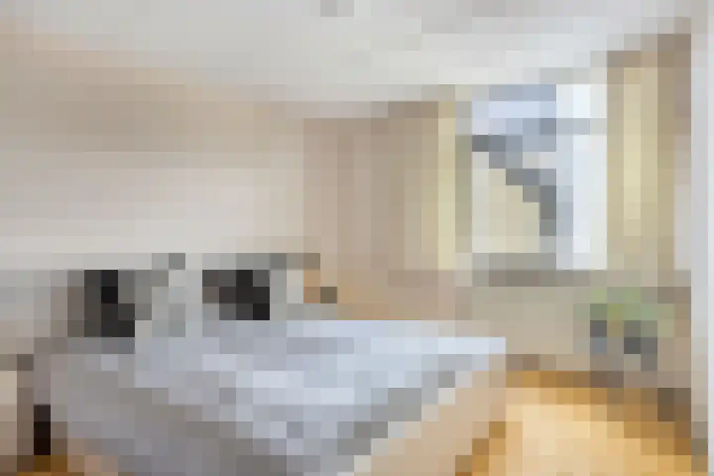 Plevier 37 Hoogvliet Rotterdam thumbnail 20