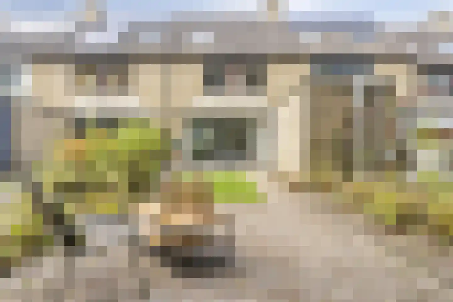Plevier 37 Hoogvliet Rotterdam thumbnail 33