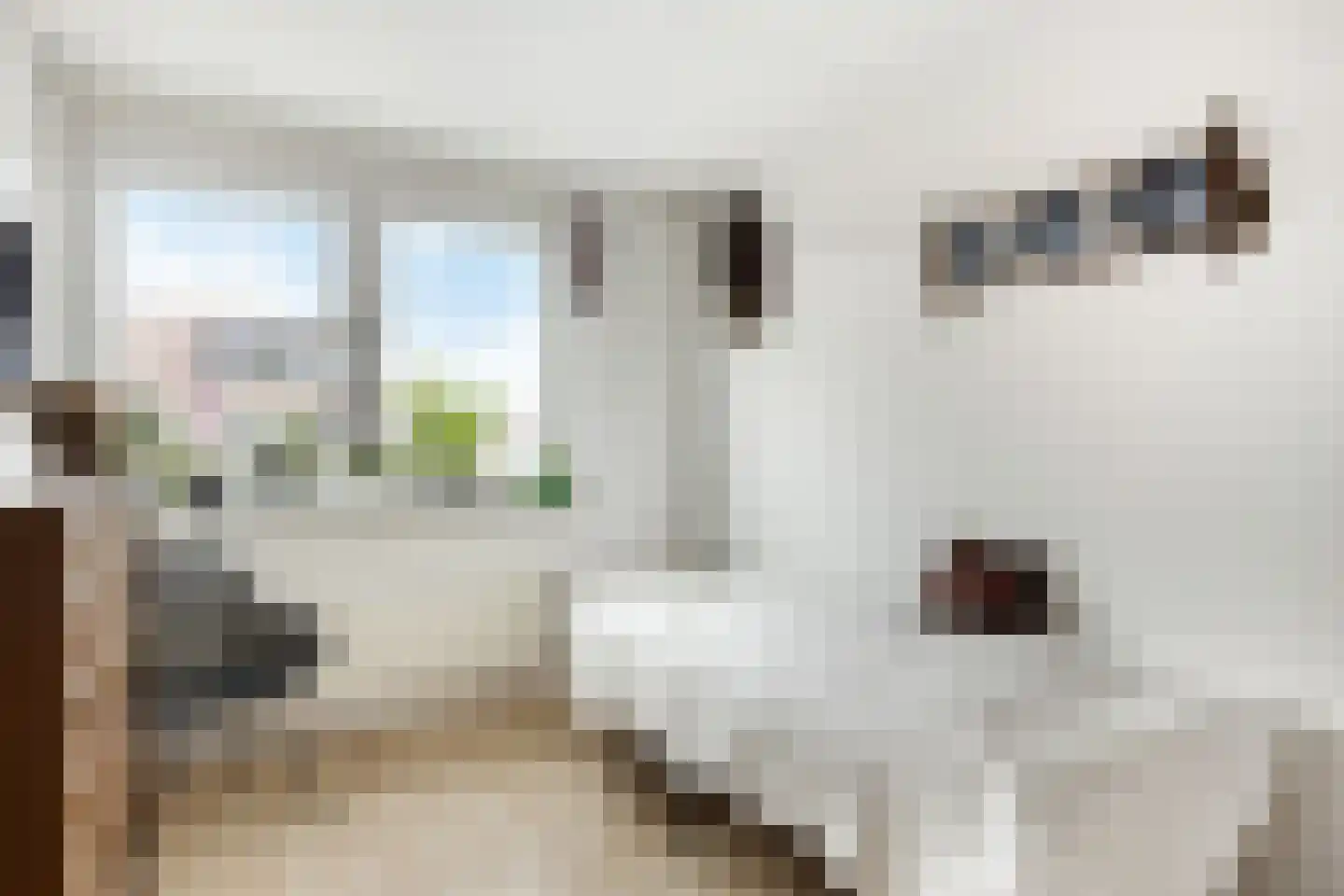 Plevier 49 Bunschoten-Spakenburg thumbnail 19