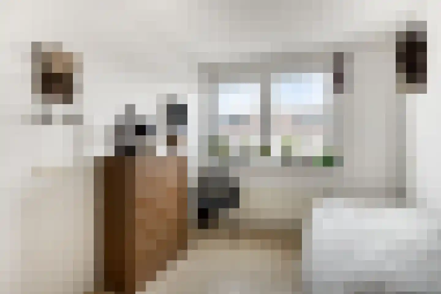 Plevier 49 Bunschoten-Spakenburg thumbnail 20