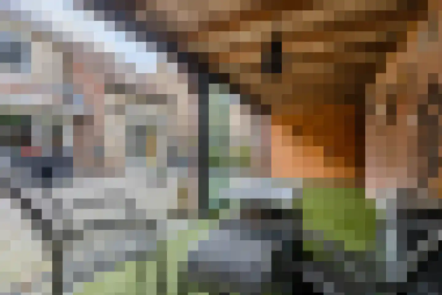 Plevier 49 Bunschoten-Spakenburg thumbnail 48