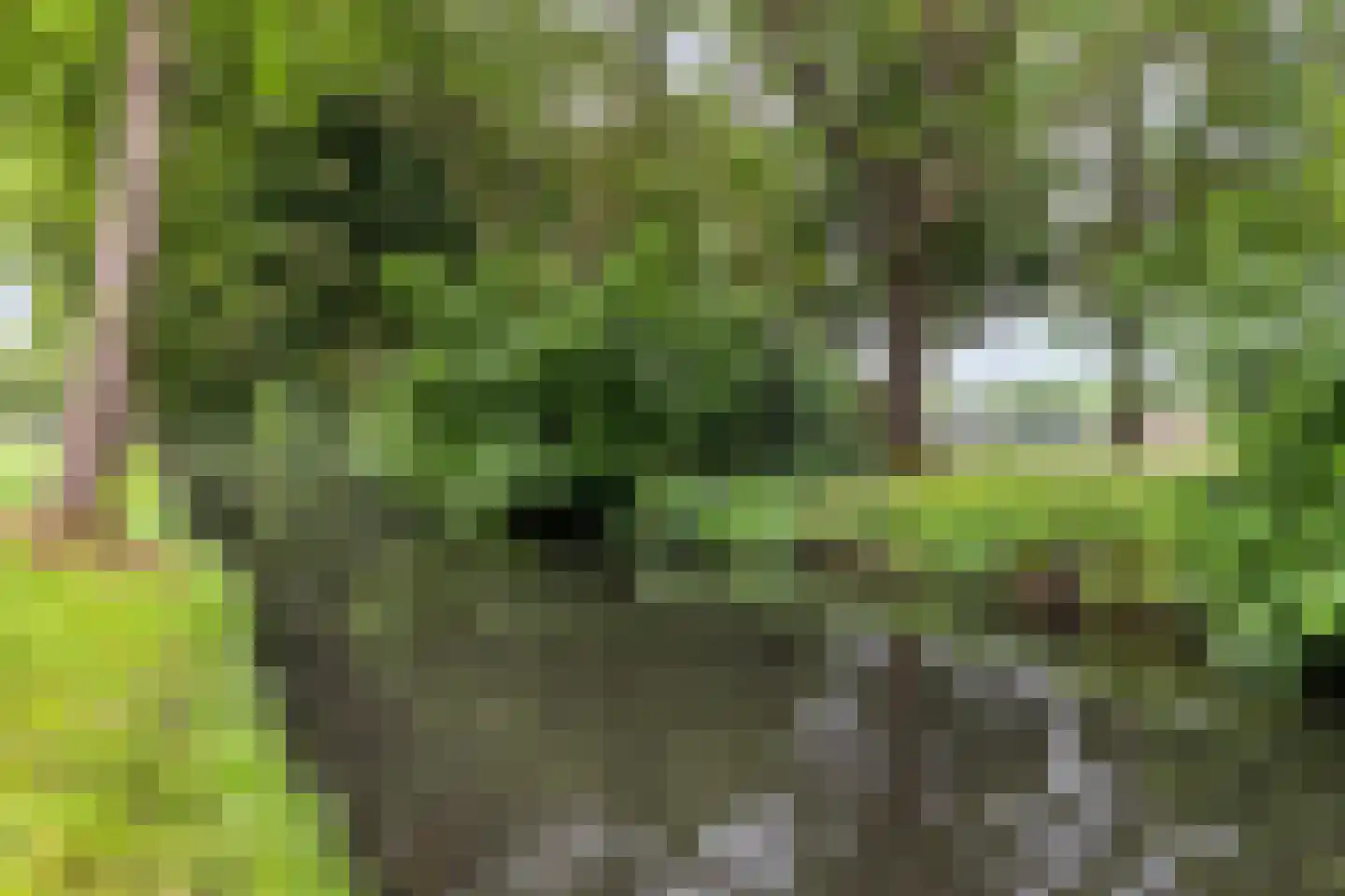 Plevier 49 Bunschoten-Spakenburg thumbnail 54