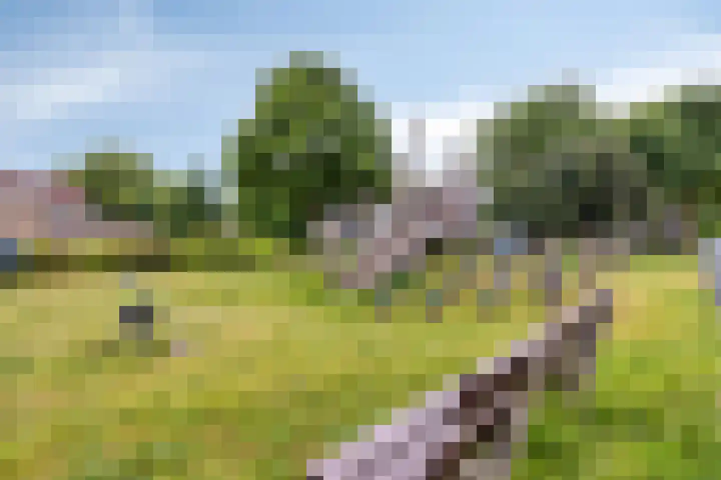Plevier 49 Bunschoten-Spakenburg thumbnail 55