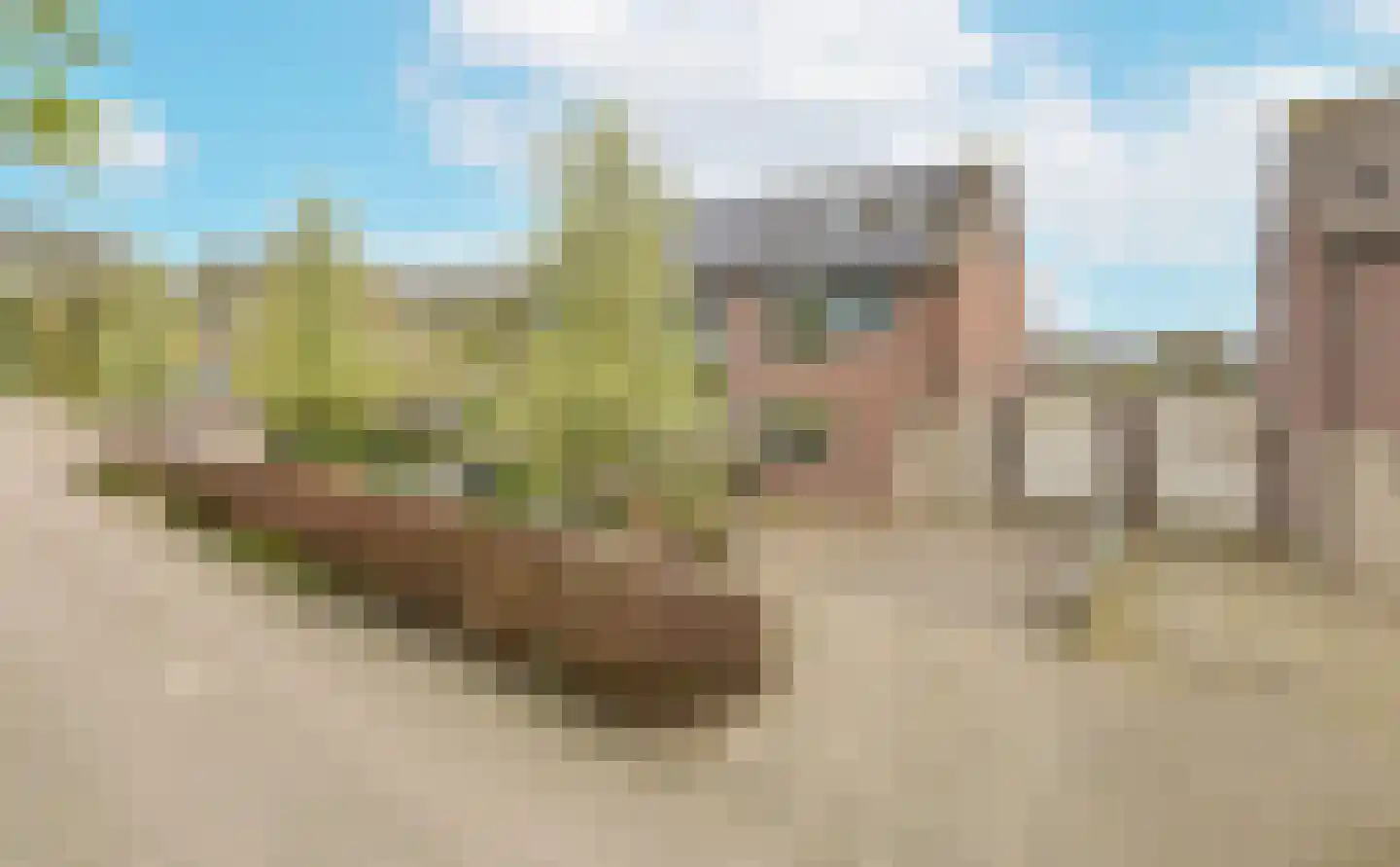 Plevier 59 Hoorn thumbnail 26