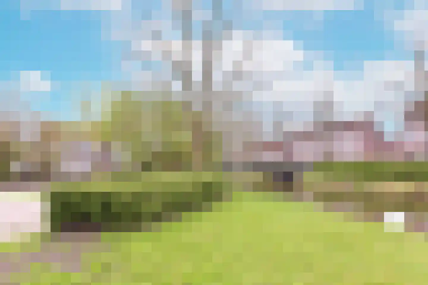 Plevier 59 Hoorn thumbnail 27