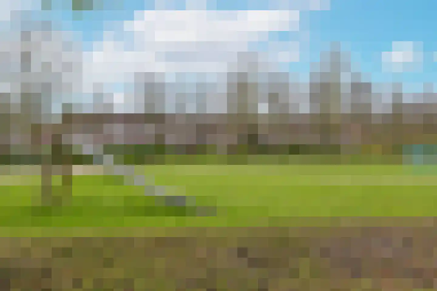 Plevier 59 Hoorn thumbnail 29