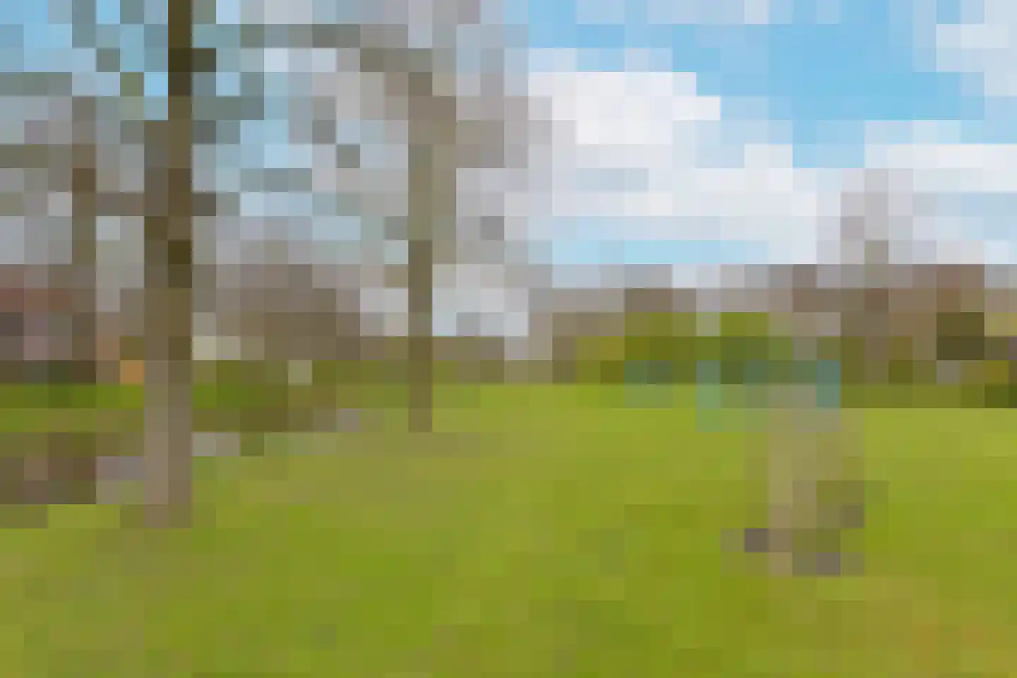 Plevier 59 Hoorn thumbnail 31