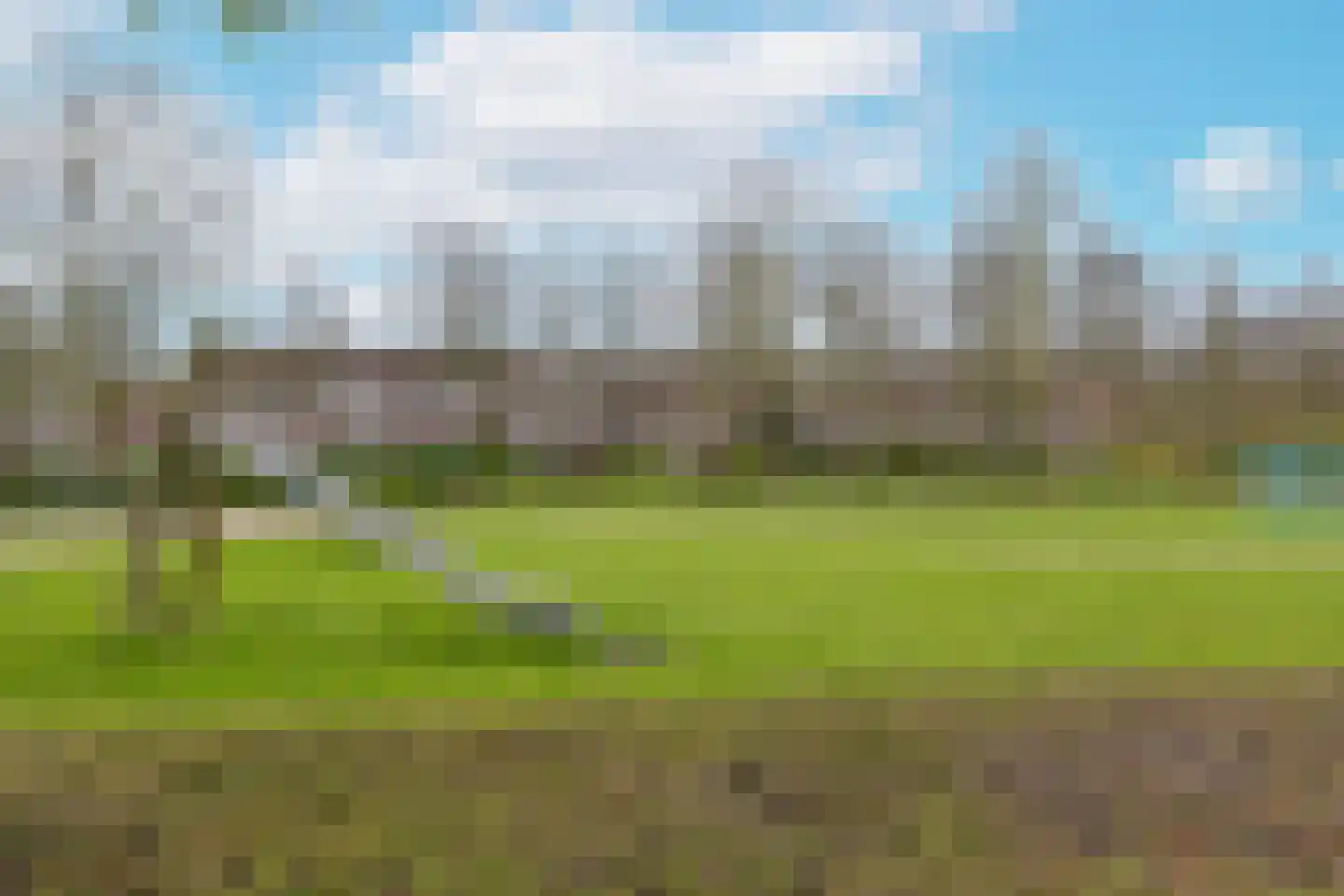 Plevier 59 Hoorn thumbnail 32