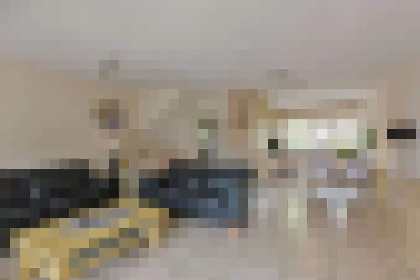 Plevier 59 Hoorn thumbnail 6