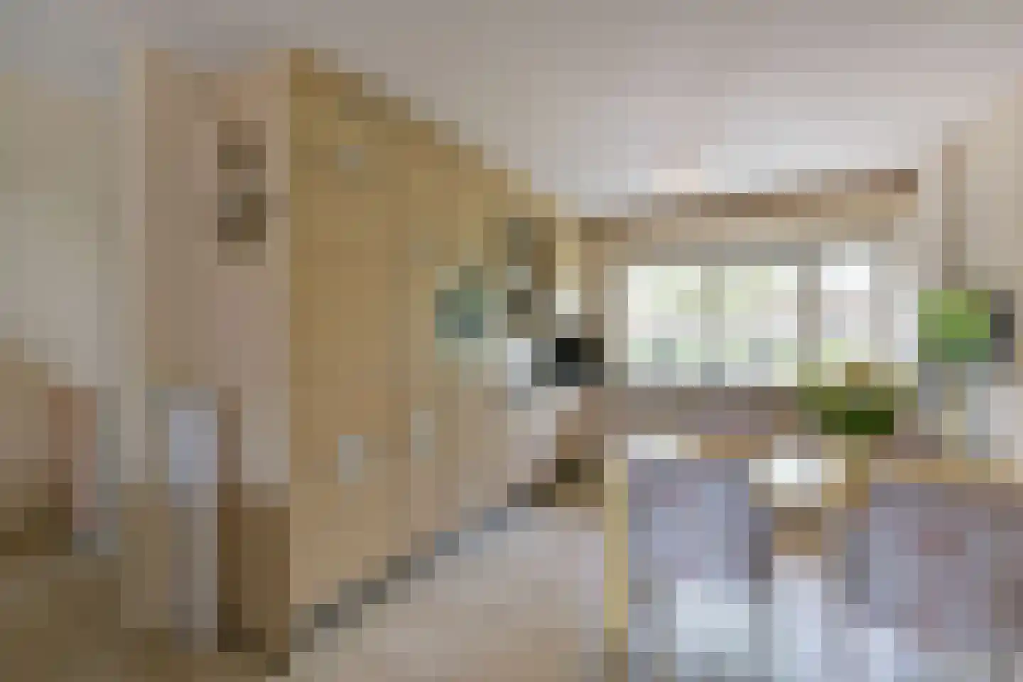 Plevier 59 Hoorn thumbnail 7