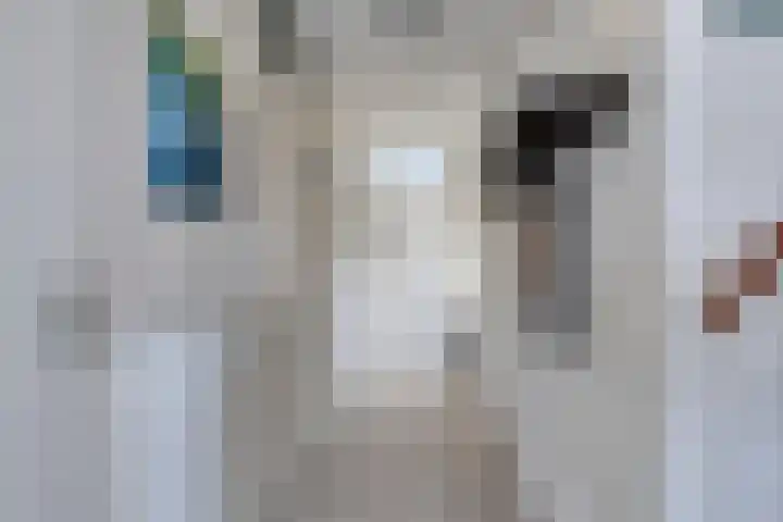 Plevier 8 Veldhoven thumbnail 10