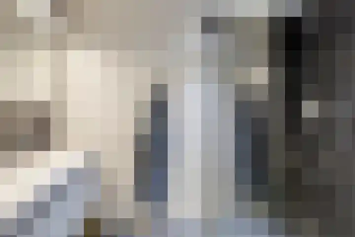 Plevier 8 Veldhoven thumbnail 14