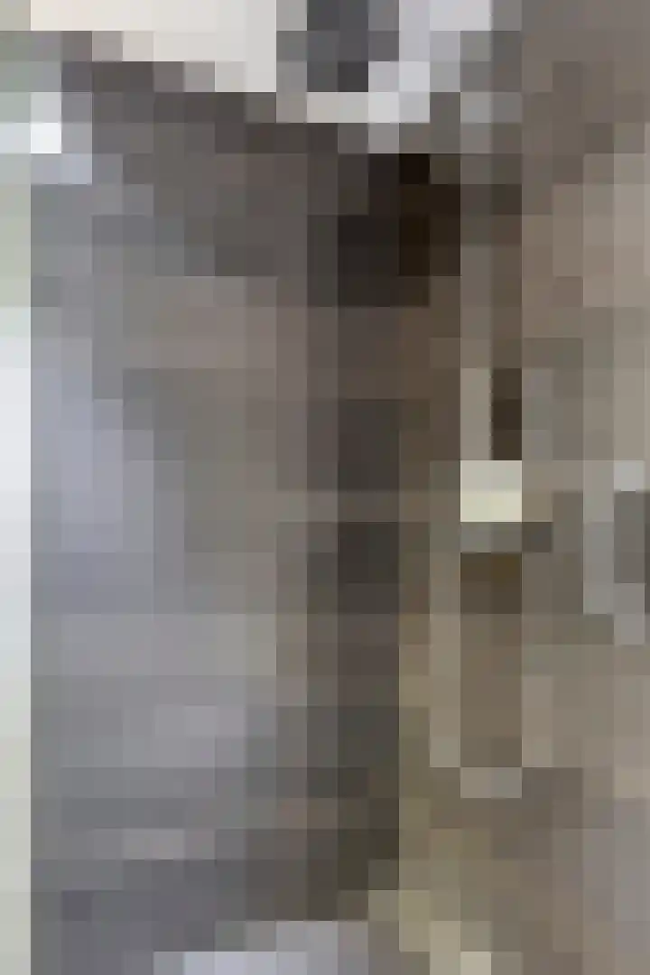 Plevier 8 Veldhoven thumbnail 15