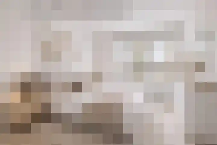 Plevier 8 Veldhoven thumbnail 21