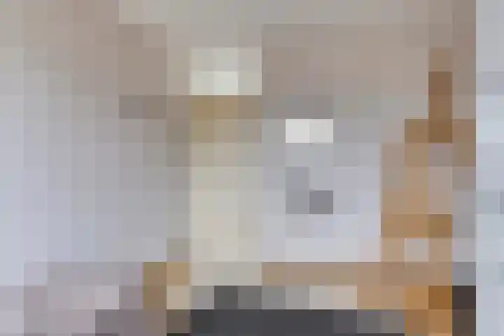 Plevier 8 Veldhoven thumbnail 22