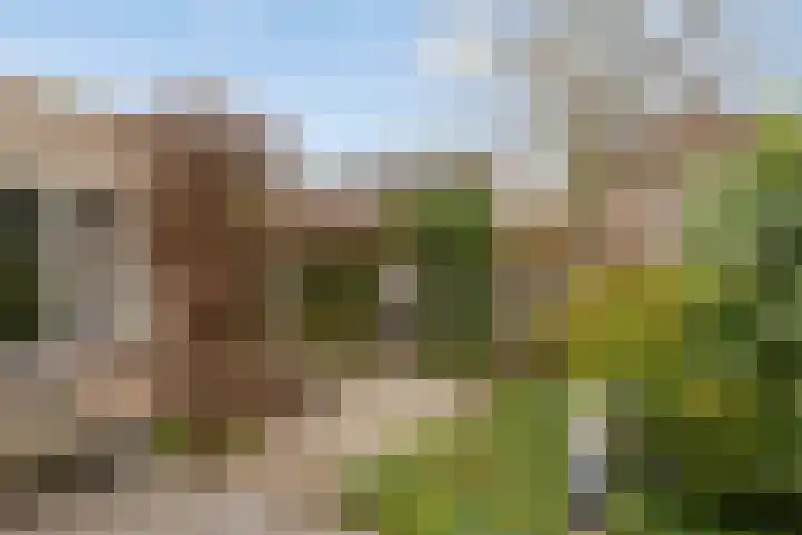 Plevier 8 Veldhoven thumbnail 25