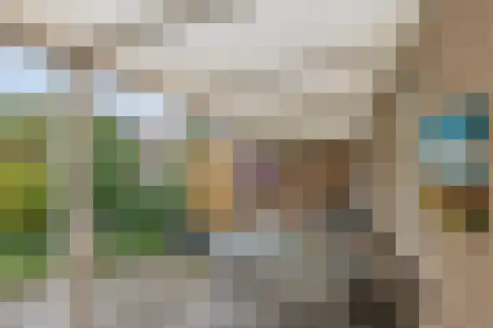 Plevier 8 Veldhoven thumbnail 26