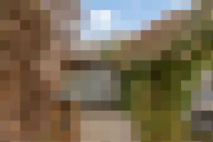 Plevier 8 Veldhoven thumbnail 28