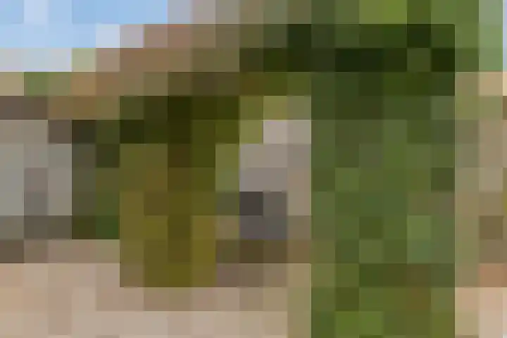 Plevier 8 Veldhoven thumbnail 29
