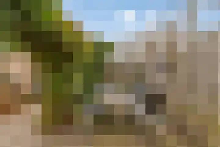 Plevier 8 Veldhoven thumbnail 30