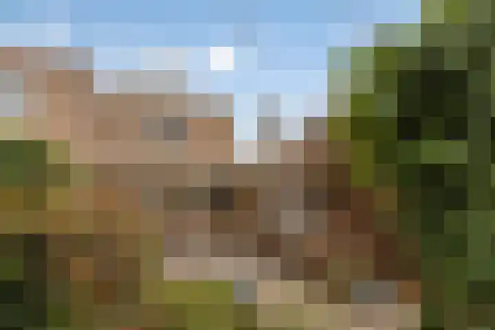 Plevier 8 Veldhoven thumbnail 31