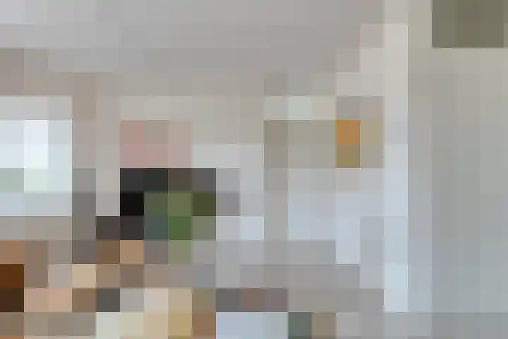 Plevier 8 Veldhoven thumbnail 4