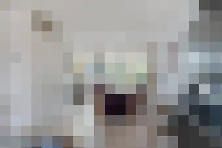 Plevier 8 Veldhoven thumbnail 5