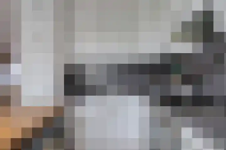 Plevier 8 Veldhoven thumbnail 9