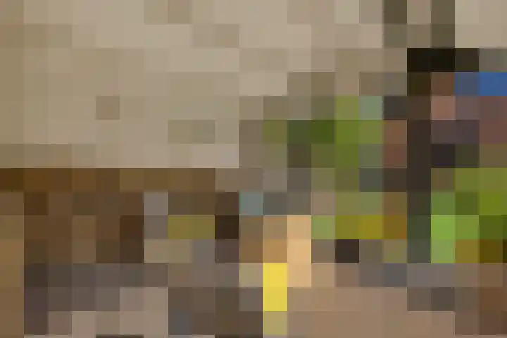 Plevierdonk 21 Veghel thumbnail 12
