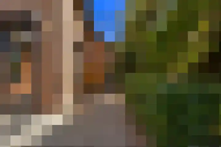 Plevierdonk 21 Veghel thumbnail 15