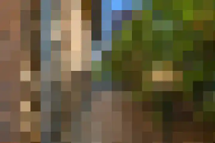 Plevierdonk 21 Veghel thumbnail 16