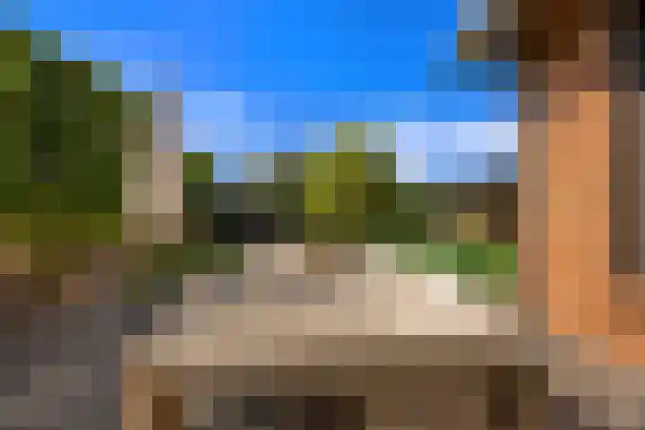 Plevierdonk 21 Veghel thumbnail 18