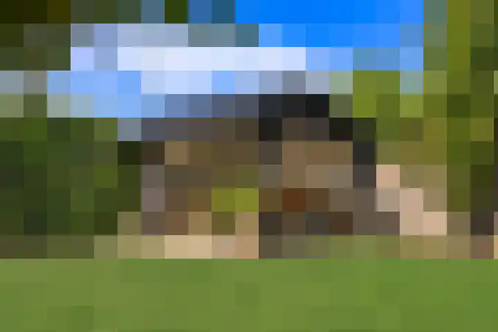 Plevierdonk 21 Veghel thumbnail 19