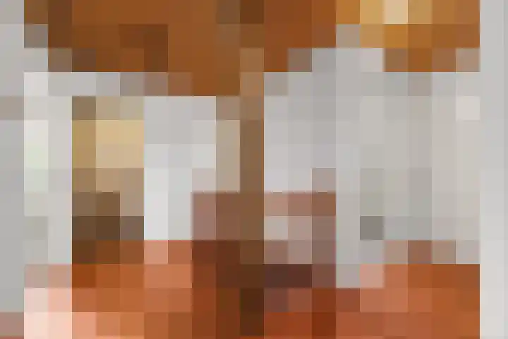 Plevierdonk 21 Veghel thumbnail 23