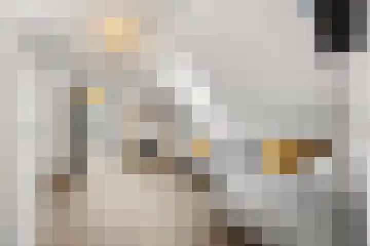 Plevierdonk 21 Veghel thumbnail 24