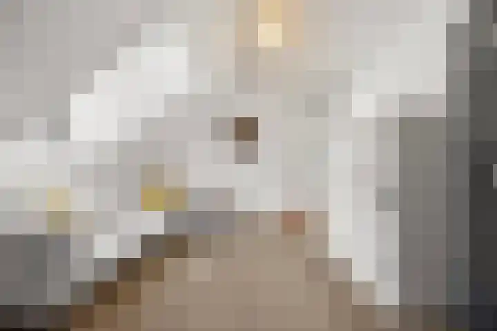 Plevierdonk 21 Veghel thumbnail 25