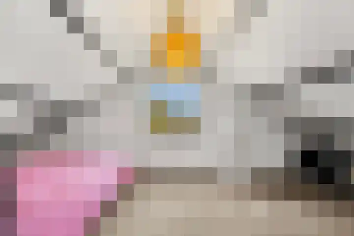 Plevierdonk 21 Veghel thumbnail 27