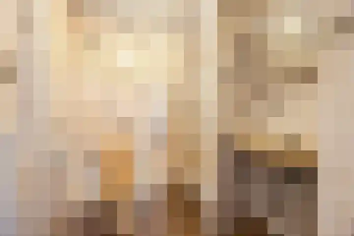 Plevierdonk 21 Veghel thumbnail 29