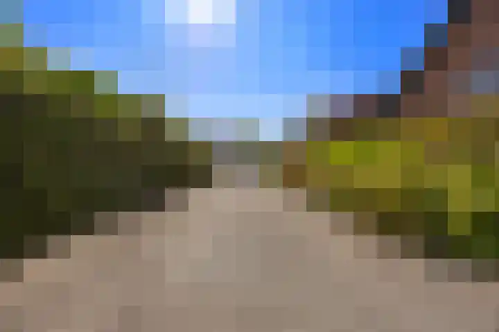Plevierdonk 21 Veghel foto 3