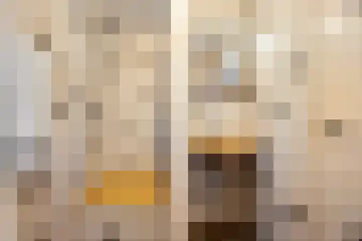 Plevierdonk 21 Veghel thumbnail 30