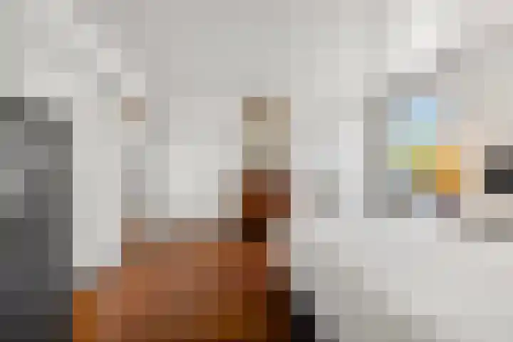 Plevierdonk 21 Veghel thumbnail 35