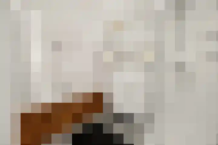 Plevierdonk 21 Veghel thumbnail 36